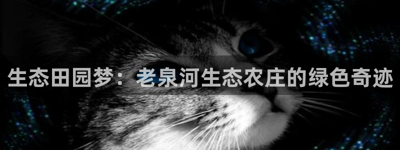 金年会com