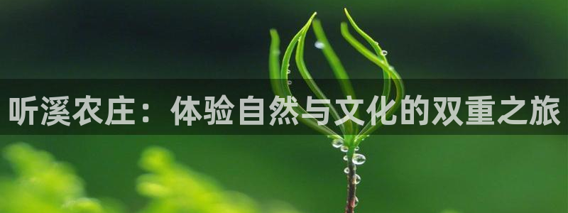 金年会官方网址登录路线