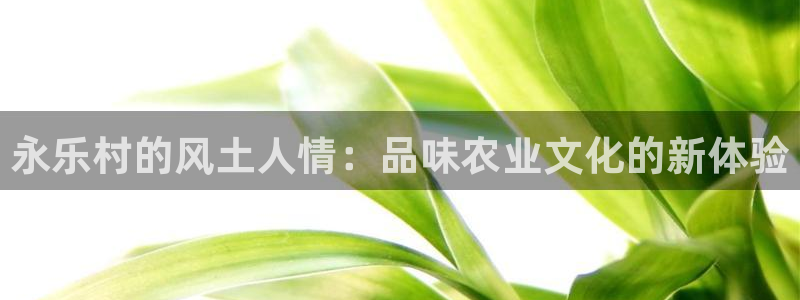 金年会在线