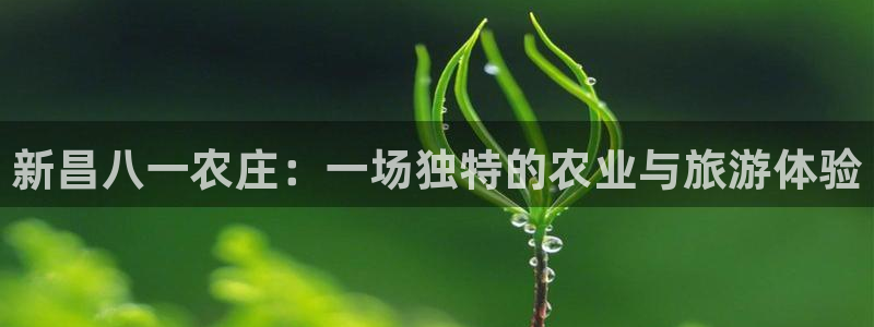 金年会是真的吗