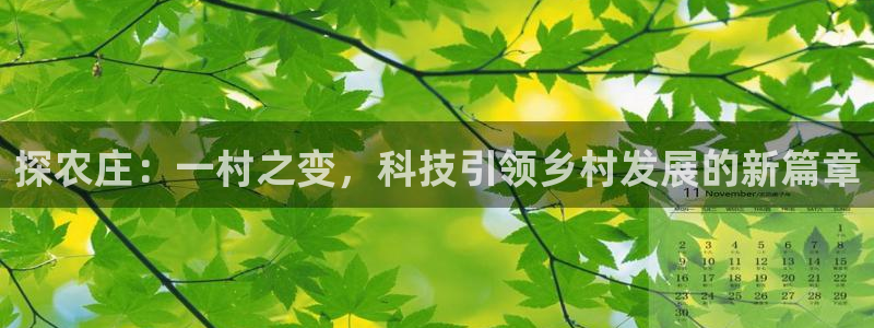 金顶年会