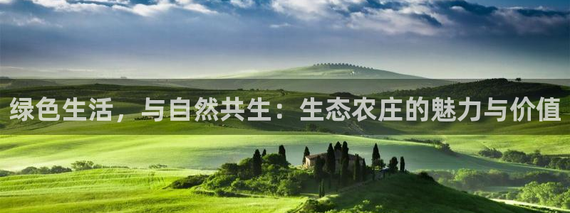 金诚集团年会