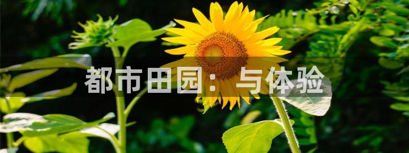 金年会体育金年会官网