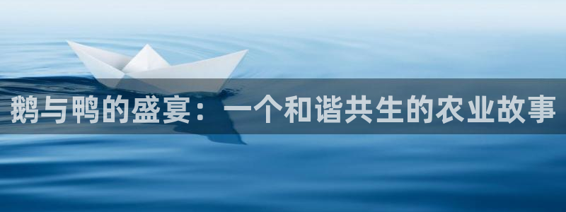 澳门与金年会的关系