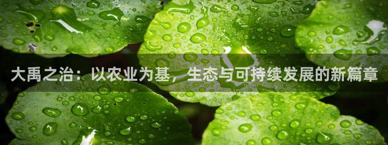 今年会金年会