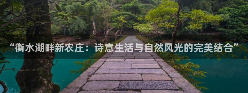 金科年会图片