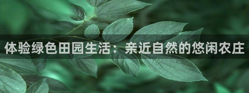 金年会官方客服电话