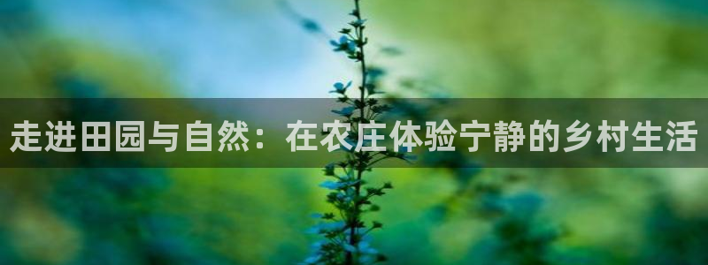 金年会官网登入