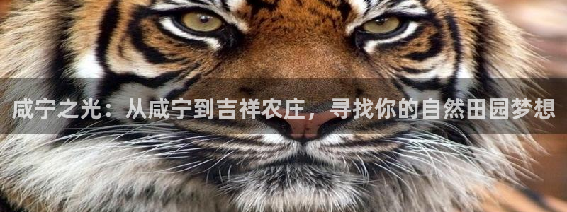 金年会娱乐提现