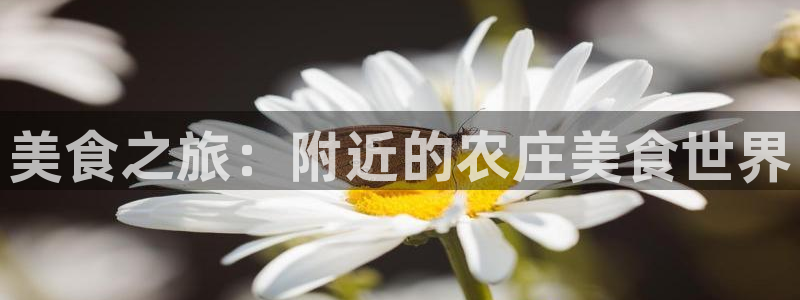 金年会手机app