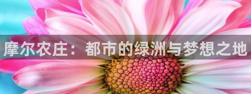金年会电子游戏