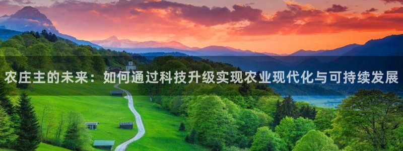 金金年会
