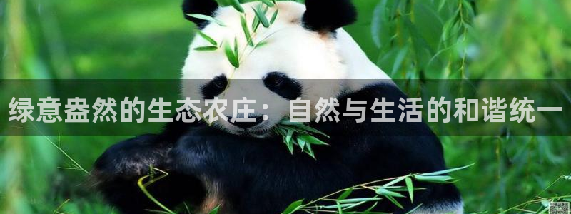 金年会网页