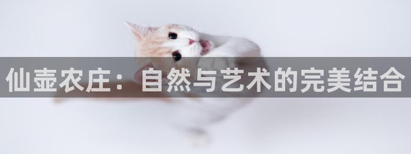 金年会入口网站
