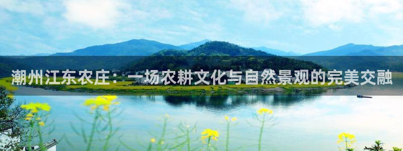 金年会菲律宾