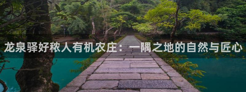 金年会赞助商