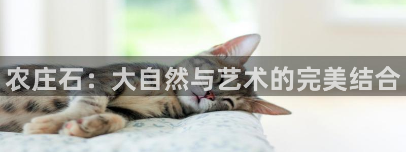 融通金年会