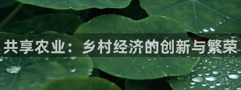 金年会体育在线入口