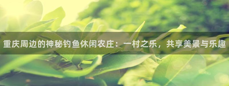 金年会信誉