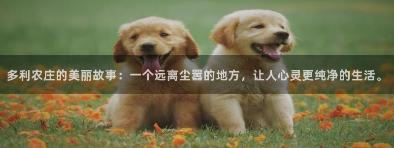 金年会平台包赔