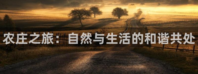 金年会平台游戏