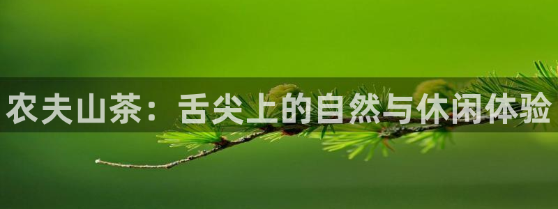 世纪金源年会