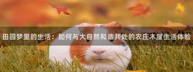 金年会体育app下载