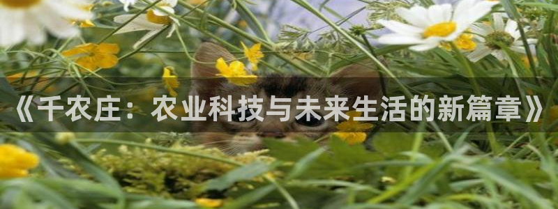 金年会安装