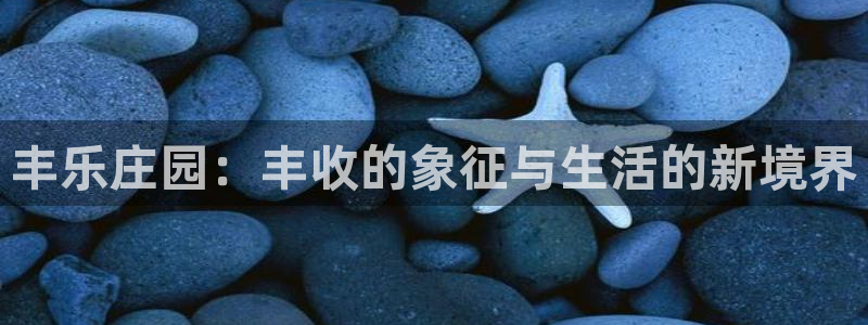 金年会体育娱乐