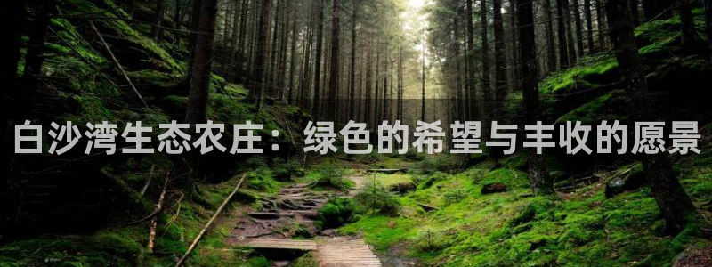金年会代理