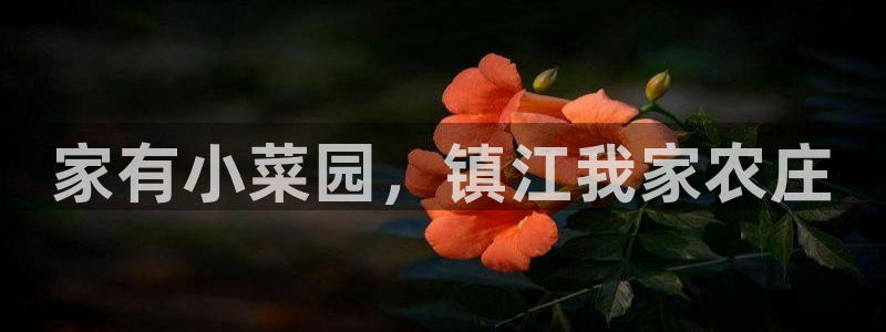 金年会APP黑钱