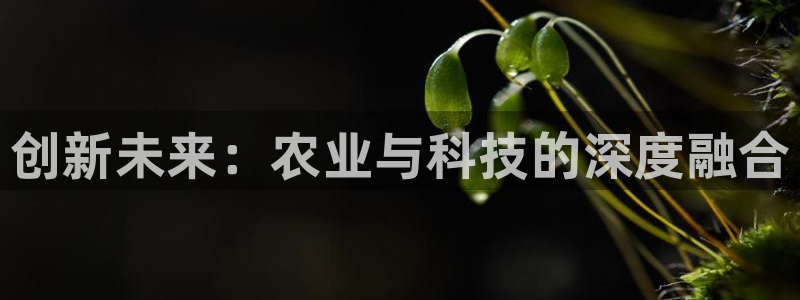 金年会app桌面