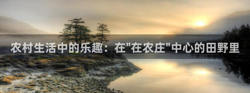 金年会彩金