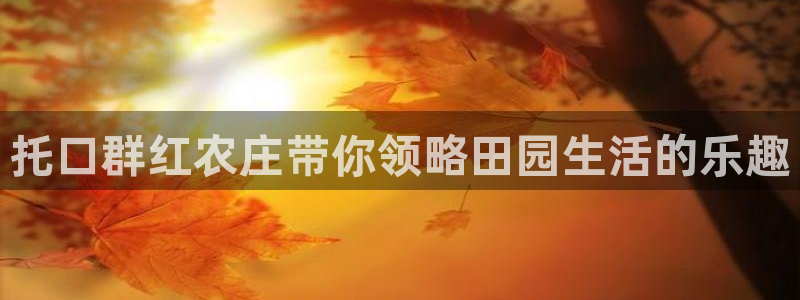 金年会电子游戏