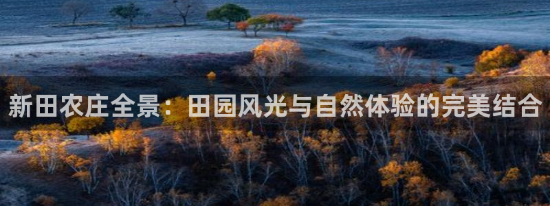 金年会 1080P