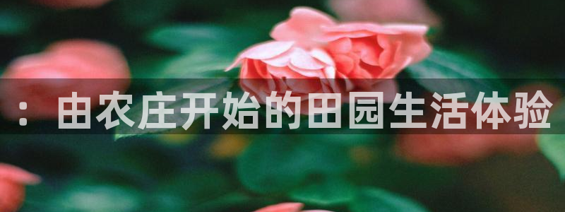金联金年会
