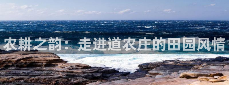 类似金年会