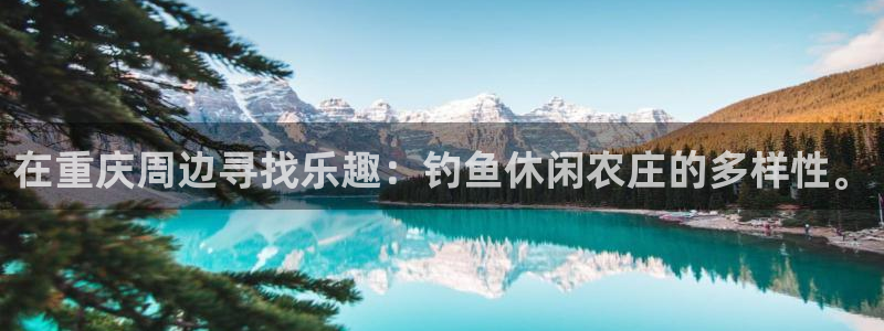 金年会体育官网在线