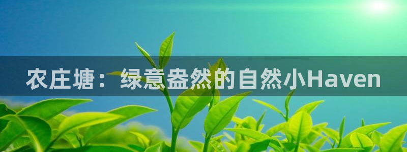 金年会