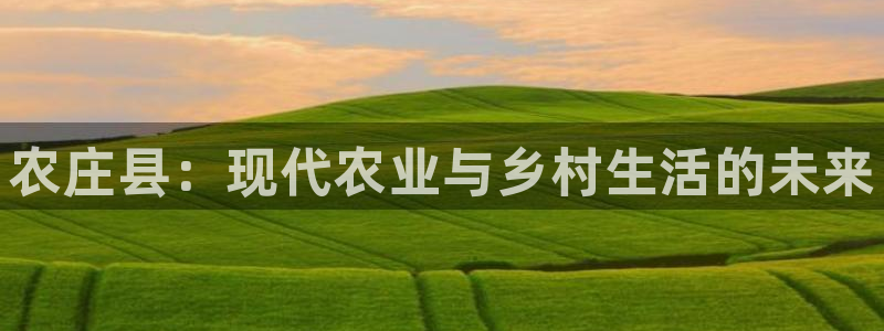 金年会 1080P