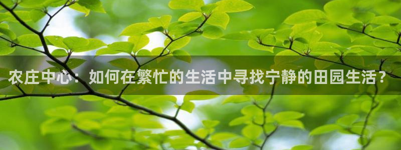 金年会网页版登陆