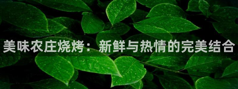 金哥年会