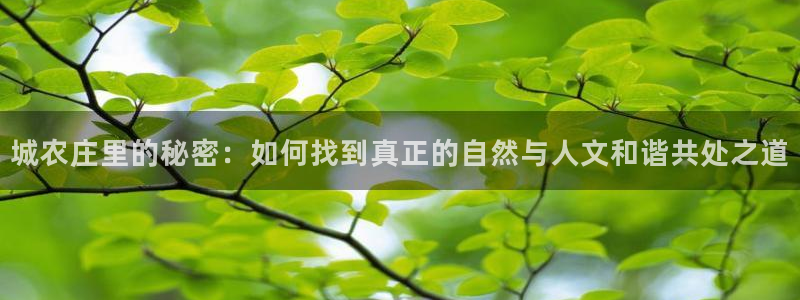 jinnianhui 金年会