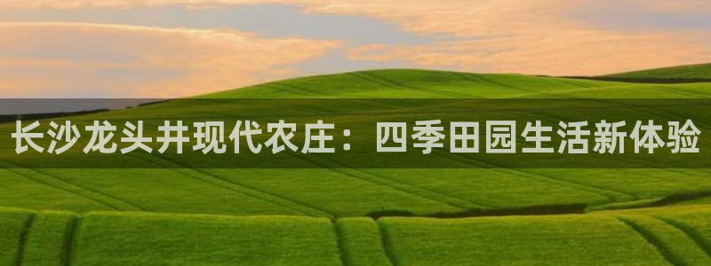 金年会VIP