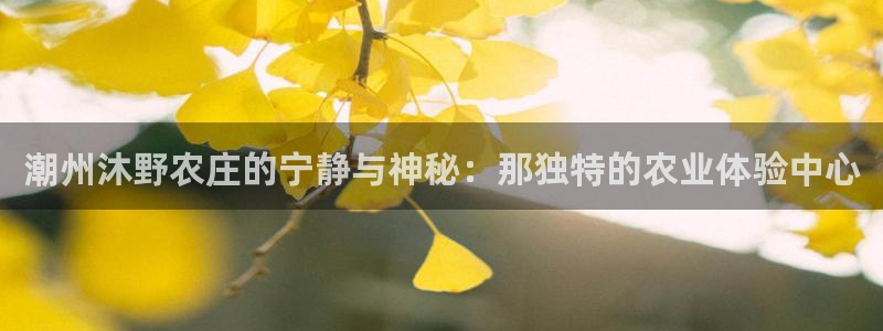 2022年金科年会
