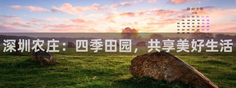 金年会体育下载app