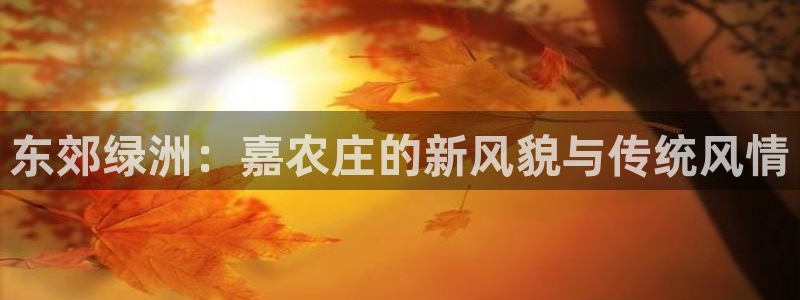 金年会投注官网