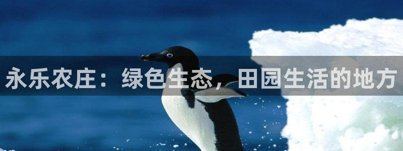 金年会娱乐下载app