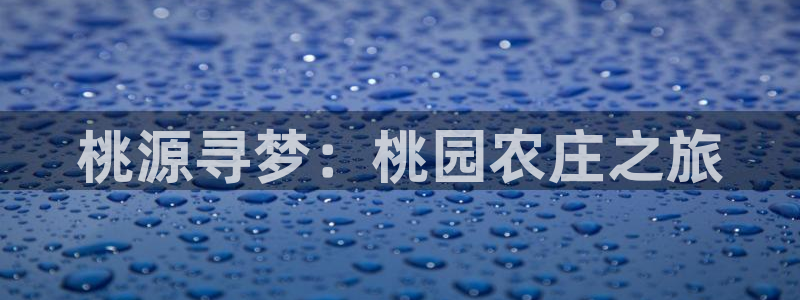 6766金年会
