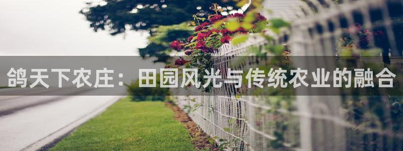 金年会app